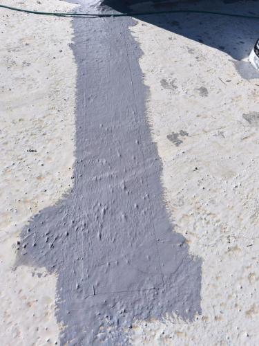 IMG-20241225-WA0230