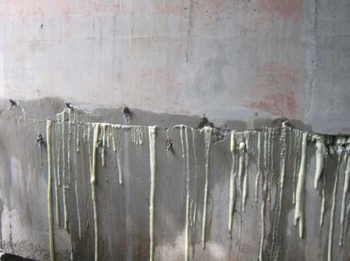 IMG-20241225-WA0232